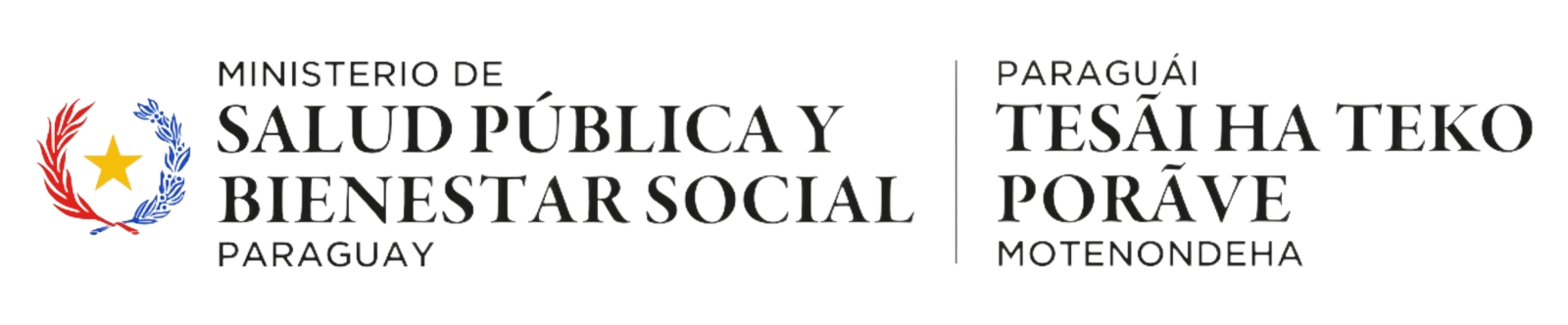 Ministerio de Salud Pública y Bienestar Social - Paraguay